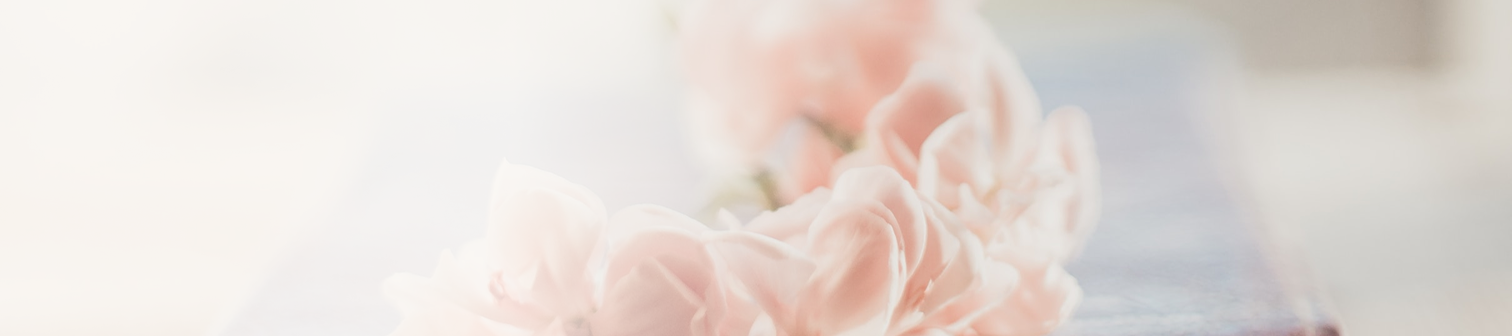 Närbild på mjuka rosa blommor i oskarp bakgrund.