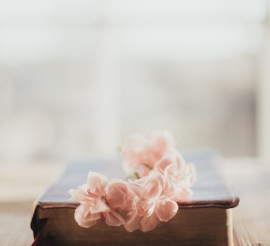 En gammal bok med rosa blommor ovanpå, suddig bakgrund.
